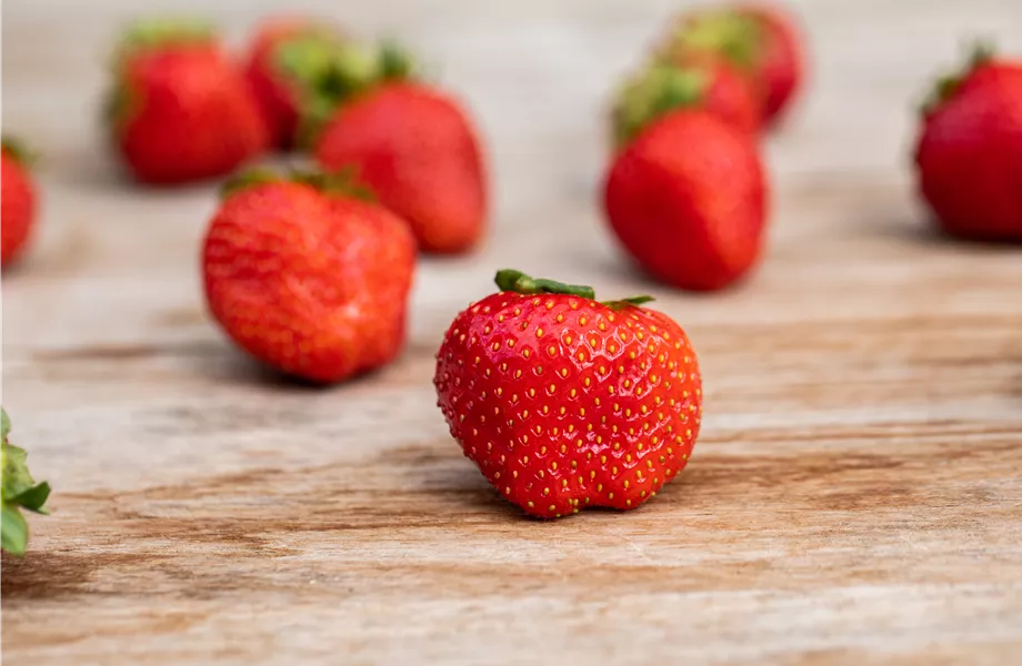 Erdbeeren 