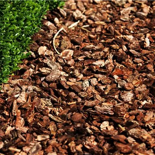 Der Mulch macht’s