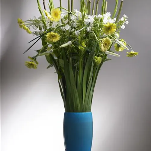 Blumen in der Vase richtig in Szene setzen