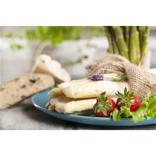 Spargel-Tofu-Pfanne